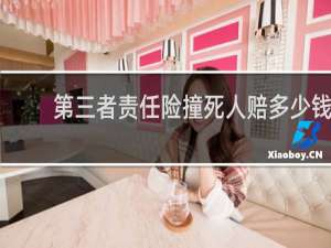 第三者责任险撞死人赔多少钱