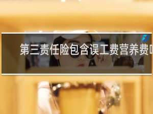 第三责任险包含误工费营养费吗