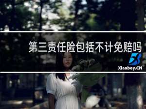第三责任险包括不计免赔吗