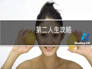 第二人生攻略