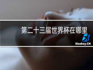 第二十三届世界杯在哪里举行