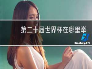 第二十届世界杯在哪里举行