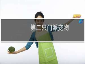 第二只门派宠物