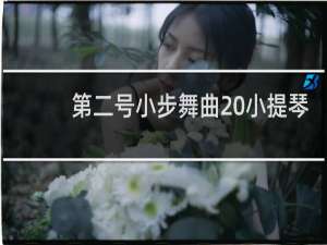 第二号小步舞曲 小提琴