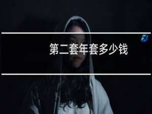 第二套年套多少钱