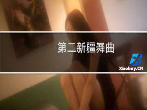 第二新疆舞曲