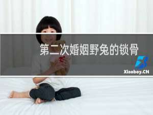 第二次婚姻野兔的锁骨