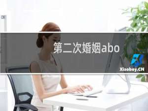 第二次婚姻abo