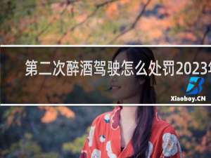 第二次醉酒驾驶怎么处罚2023年
