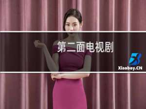 第二面电视剧