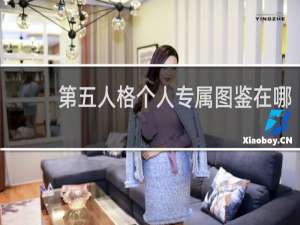 第五人格个人专属图鉴在哪