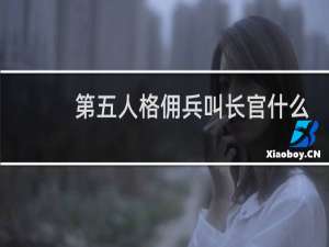 第五人格佣兵叫长官什么