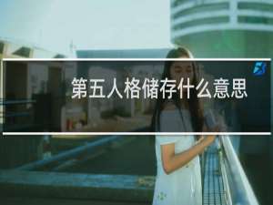 第五人格储存什么意思