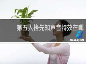 第五人格先知声音特效在哪
