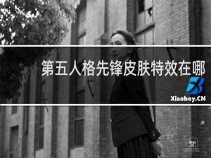 第五人格先锋皮肤特效在哪