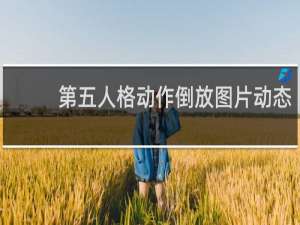 第五人格动作倒放图片动态