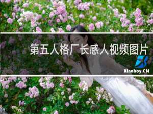 第五人格厂长感人视频图片