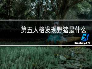 第五人格发现野猪是什么