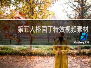第五人格园丁特效视频素材