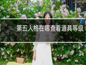 第五人格在哪查看道具等级