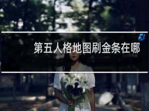 第五人格地图刷金条在哪