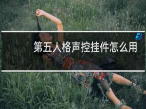 第五人格声控挂件怎么用