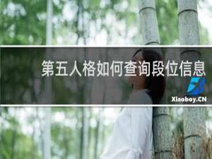 第五人格如何查询段位信息