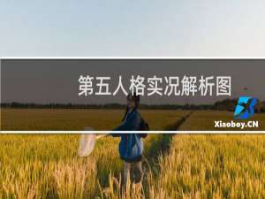 第五人格实况解析图