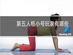 第五人格小号玩家有哪些