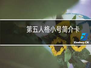 第五人格小号简介卡