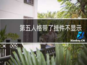 第五人格带了挂件不显示