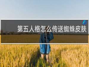 第五人格怎么传送蜘蛛皮肤