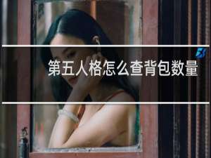 第五人格怎么查背包数量