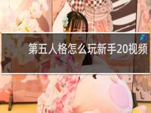 第五人格怎么玩新手 视频