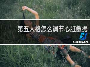 第五人格怎么调节心脏数据