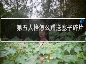 第五人格怎么赠送塞子碎片