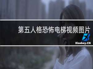 第五人格恐怖电梯视频图片