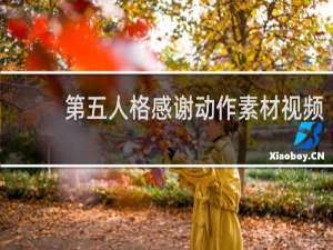 第五人格感谢动作素材视频