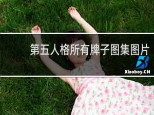 第五人格所有牌子图集图片