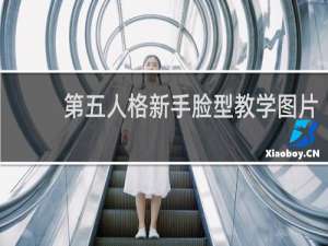 第五人格新手脸型教学图片