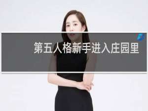 第五人格新手进入庄园里