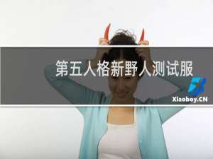 第五人格新野人测试服