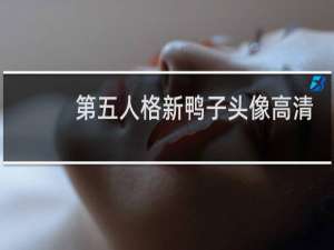 第五人格新鸭子头像高清