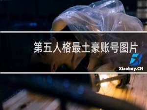第五人格最土豪账号图片