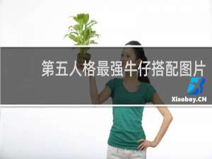 第五人格最强牛仔搭配图片