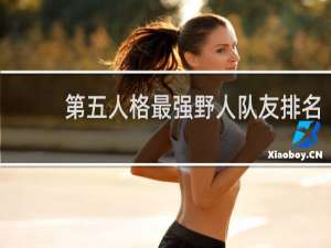 第五人格最强野人队友排名