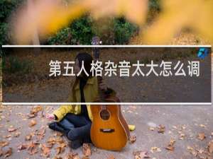 第五人格杂音太大怎么调