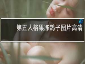 第五人格果冻鸽子图片高清