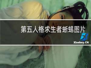 第五人格求生者蜥蜴图片