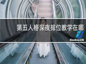第五人格深夜排位教学在哪